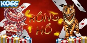 Rồng Hổ KO66