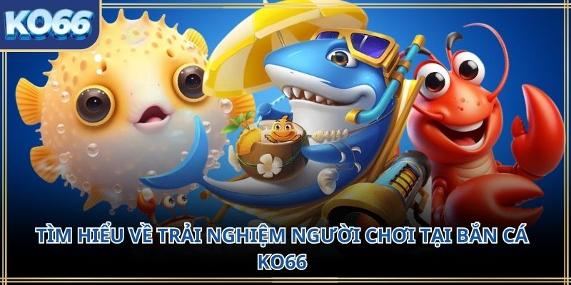 Tìm hiểu về trải nghiệm người chơi tại Bắn cá KO66