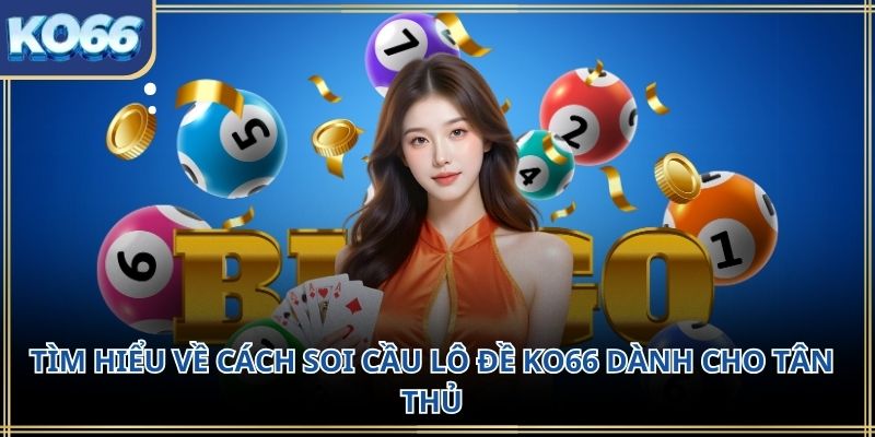 Tìm hiểu về cách soi cầu lô đề KO66 dành cho tân thủ